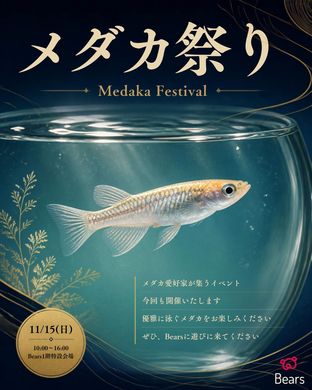 🐟～メダカ祭り～🐟開催